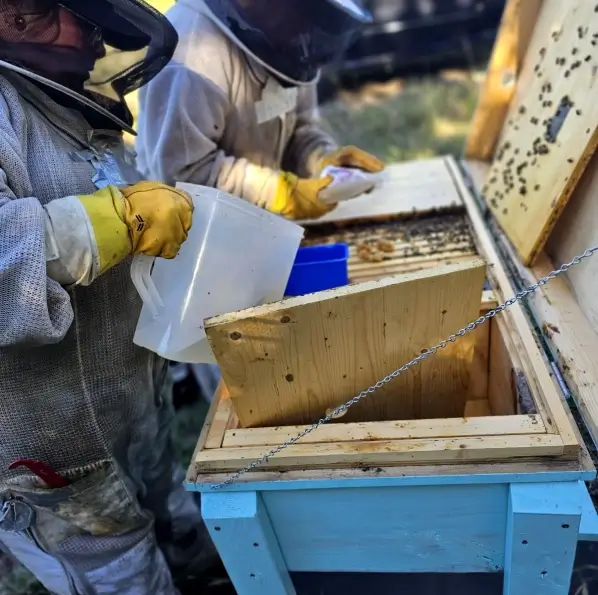 Lake Grandbury Honey _ Jan Nielsen