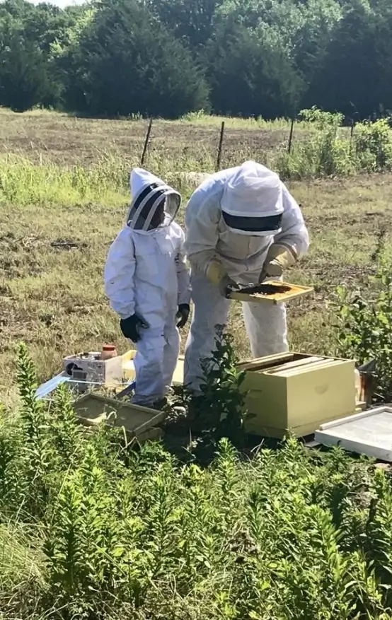 Lake Grandbury Honey _ sponsor a hive