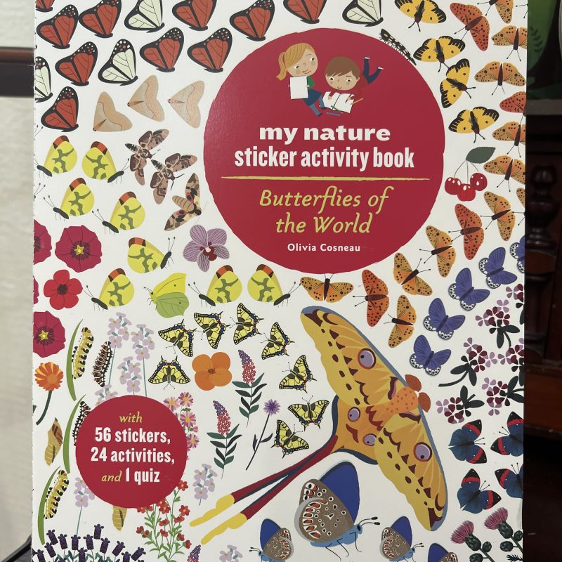 Butterfly Sticker Book