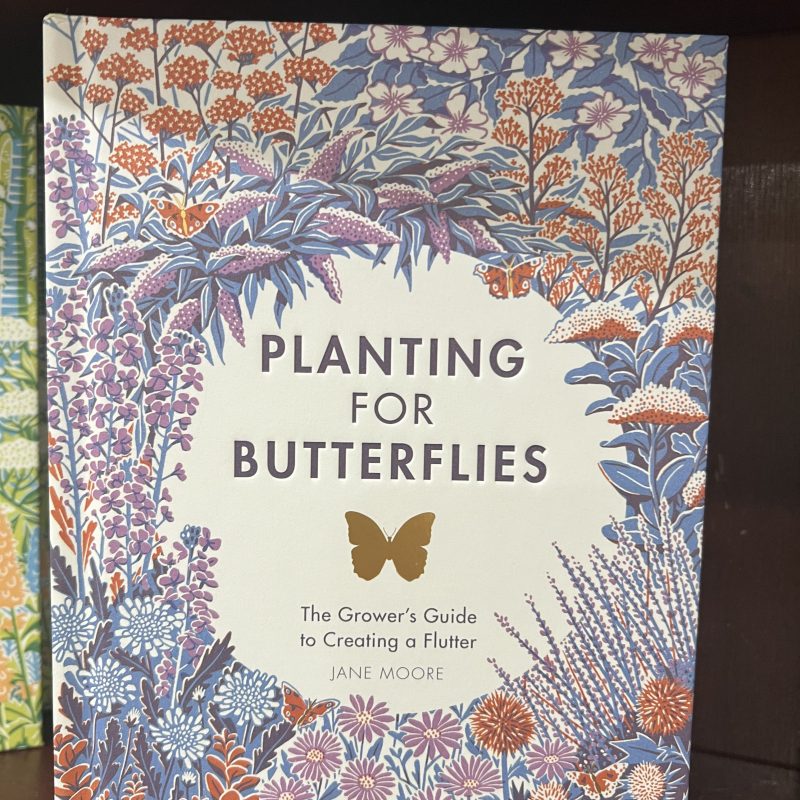 Planting for Butterflies
