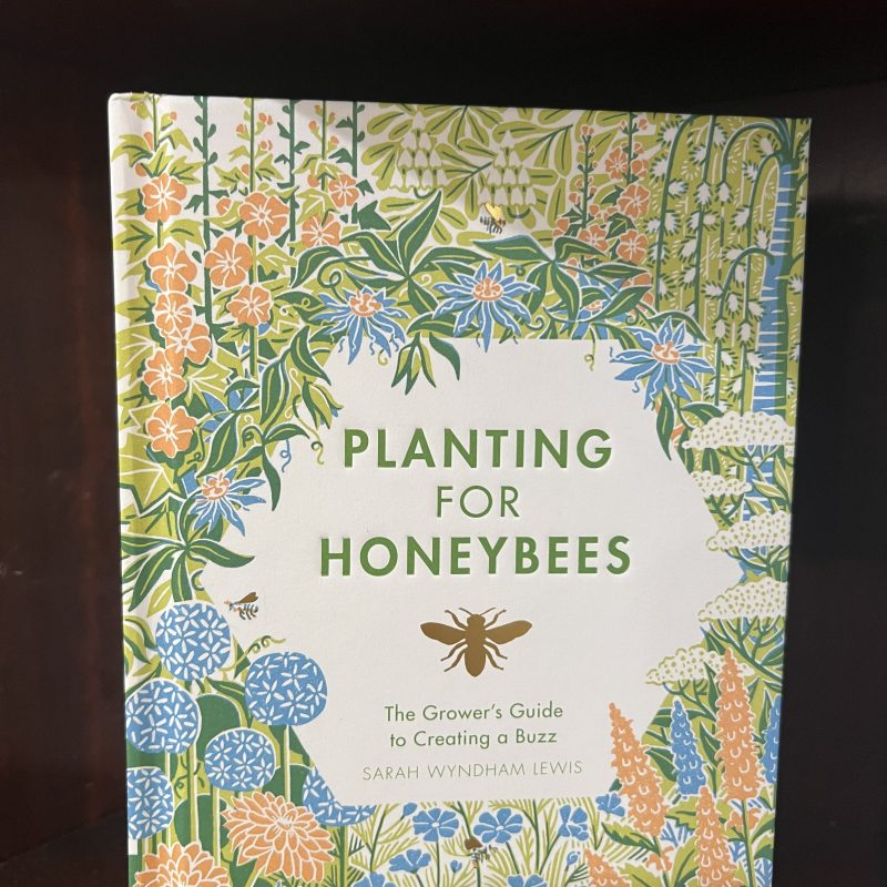 Planting for Honeybees