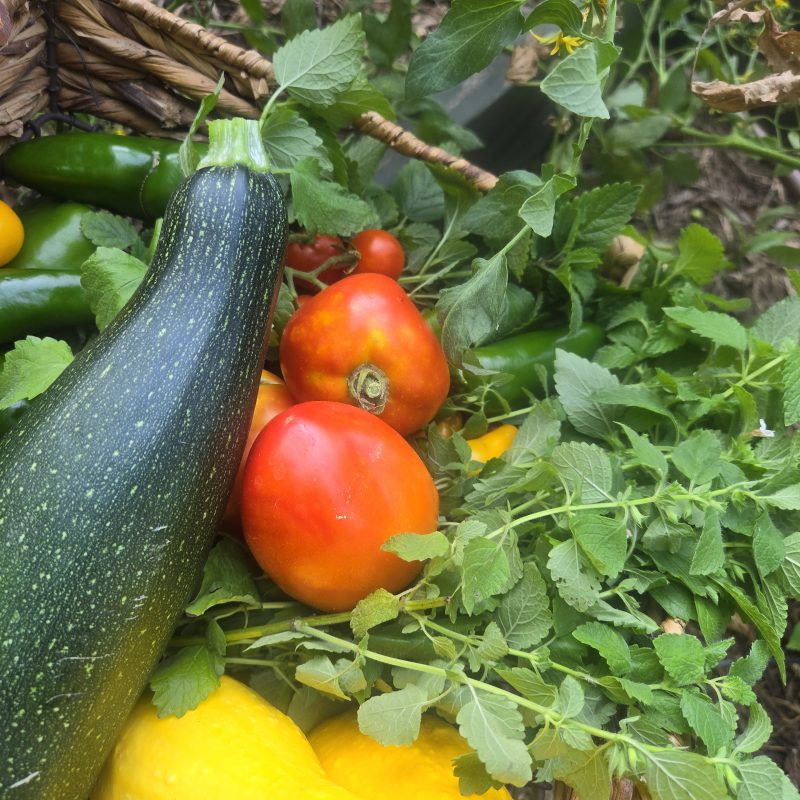 LGH Produce